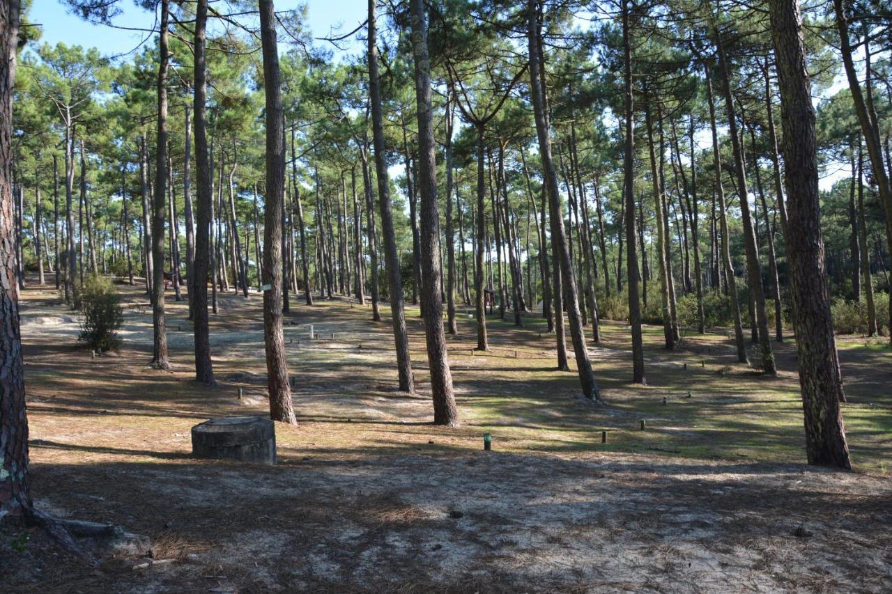 Wellness Sport Camping - La Dune Bleue Каркан Экстерьер фото